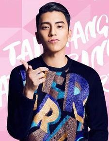 娱乐圈爆料记者之王小说,揭秘“记者之王”的传奇故事  第2张